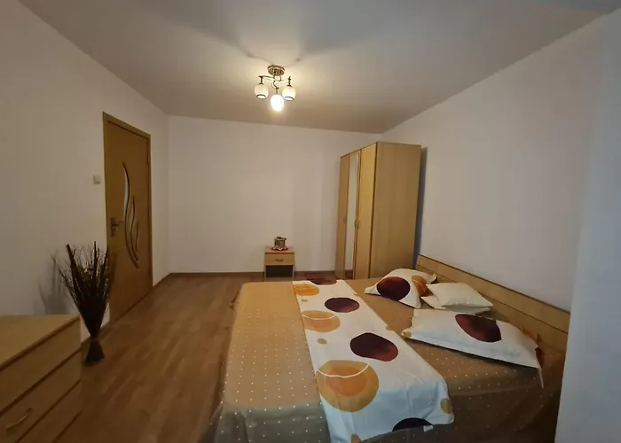 Bulevardul Victoriei Apartment *