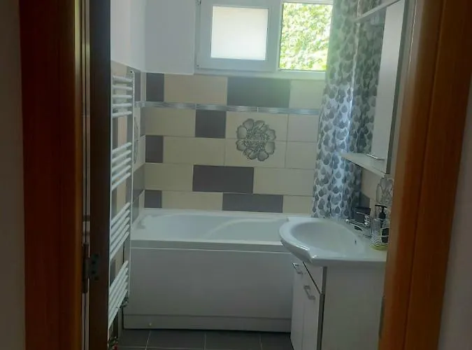 Bulevardul Victoriei Apartment