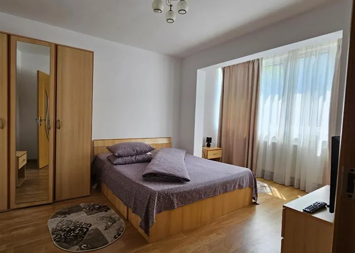 Bulevardul Victoriei Apartment